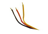 Apple iPhone 4GB, iPhone 8GB, iPhone 16GB
